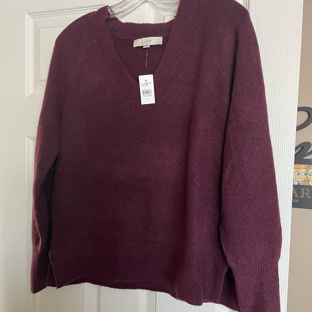NWT Loft Relaxed V Neck Sweater